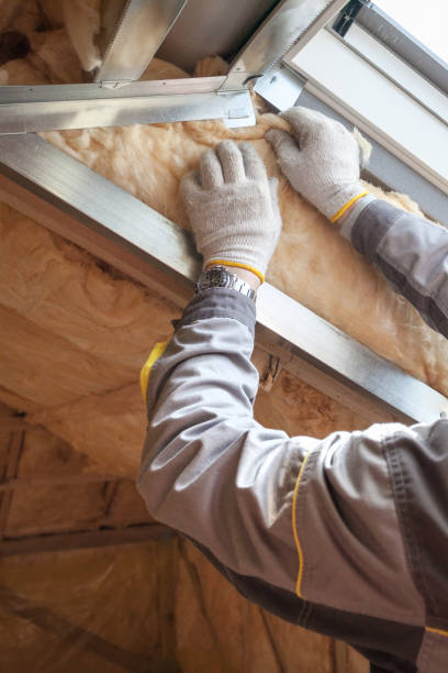 Best Blown-in Insulation in Sallisaw, OK