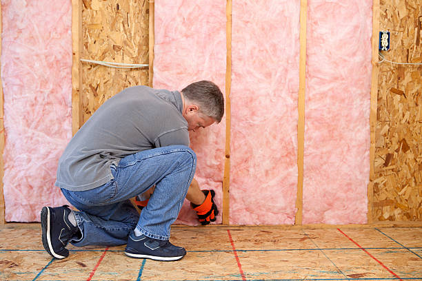 Best Residential Insulation in Sallisaw, OK