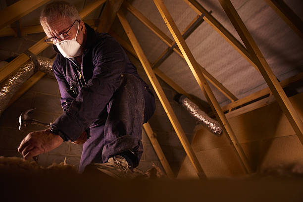 Best Eco-Friendly Insulation in Sallisaw, OK